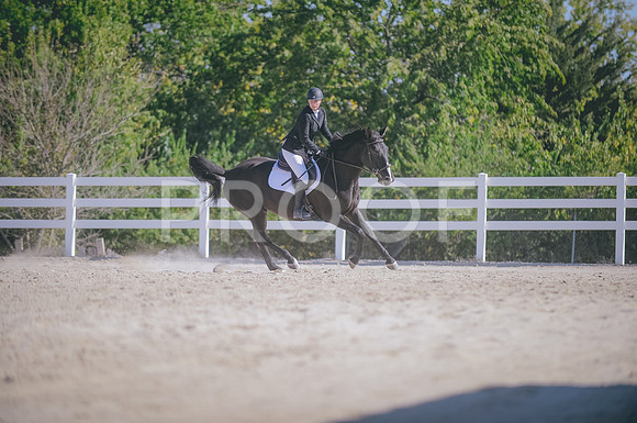 JJS_1593