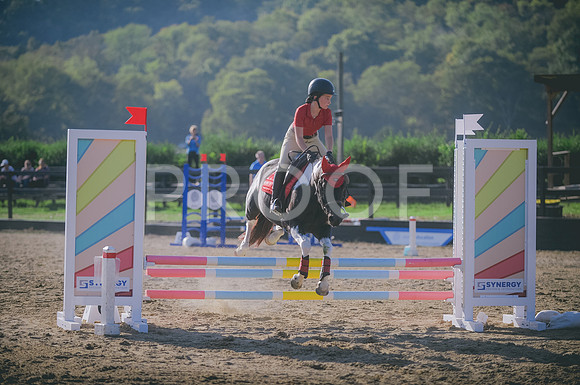 JJS_7852