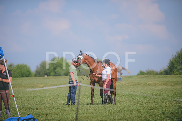 JJS_3883