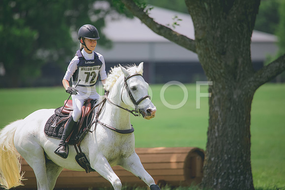 RWP_4162
