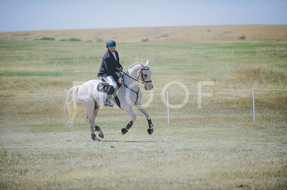 JJS_8377