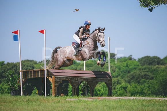 RWP_6313
