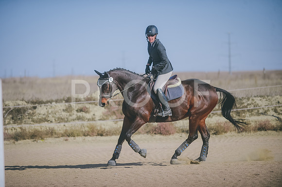 JJS_2818