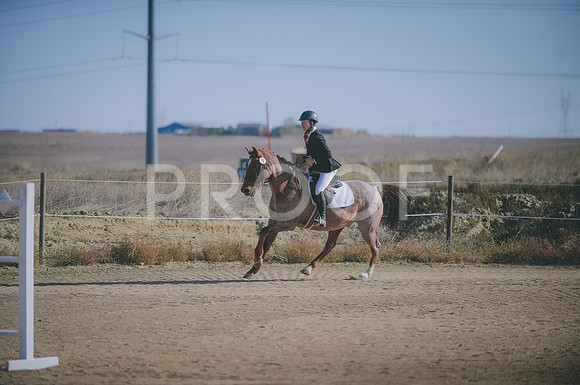 JJS_1454
