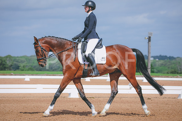 RWP_4081