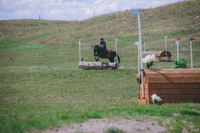 DSC_1984