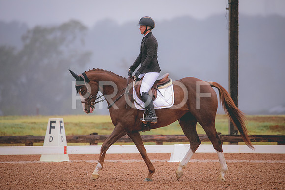 RWP_1019