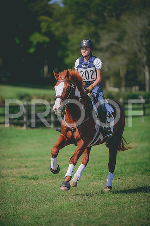 JJS_8786