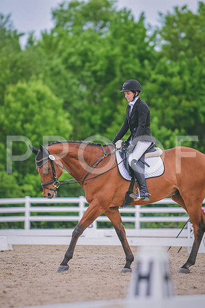 DSC_3427 copy