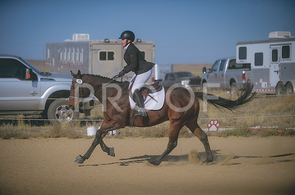 JJS_1288