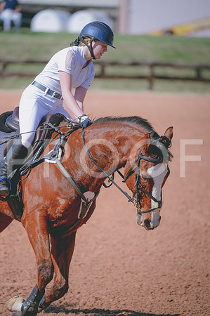 JJS_0382