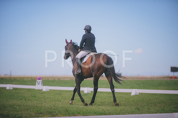 JJS_0882