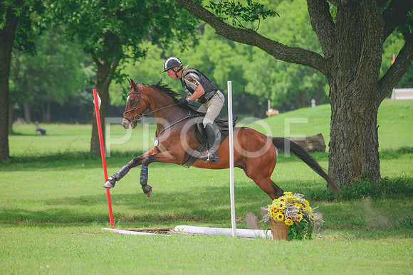 RWP_2119
