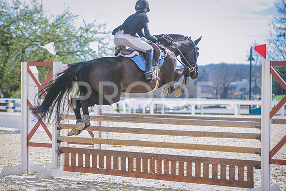 DSC_0869 copy
