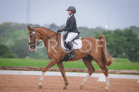 RWP_4257