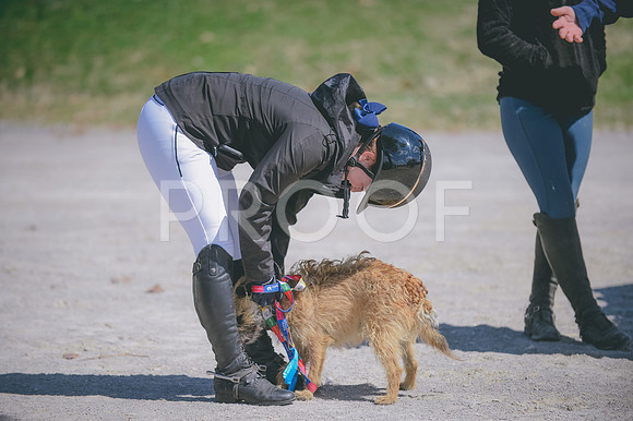 JJS_3944