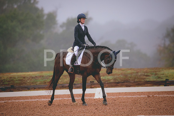 RWP_0813