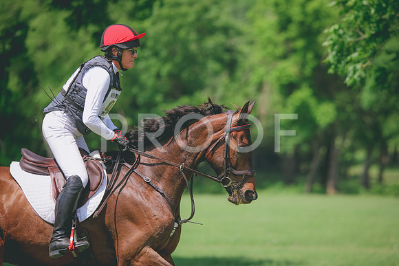 RWP_4648