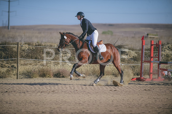 JJS_0220