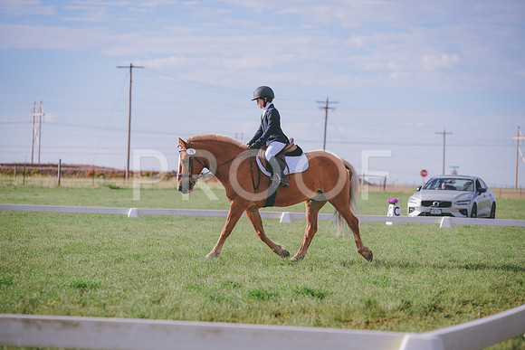 DSC_2316A