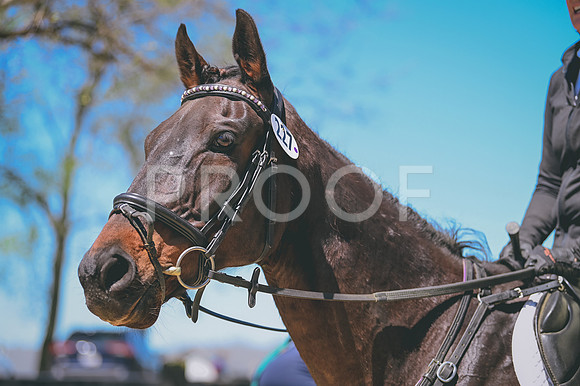 CRB_9209
