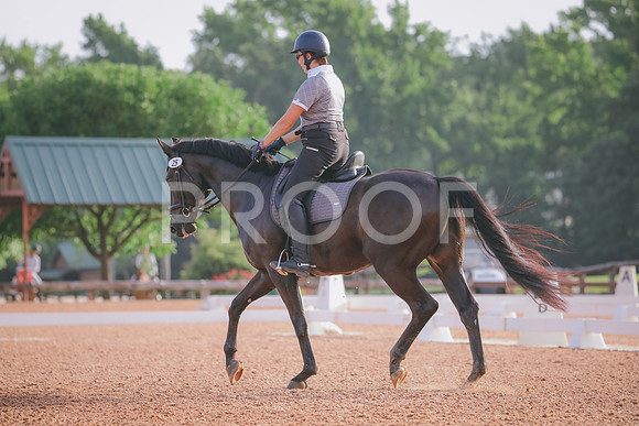RWP_4237