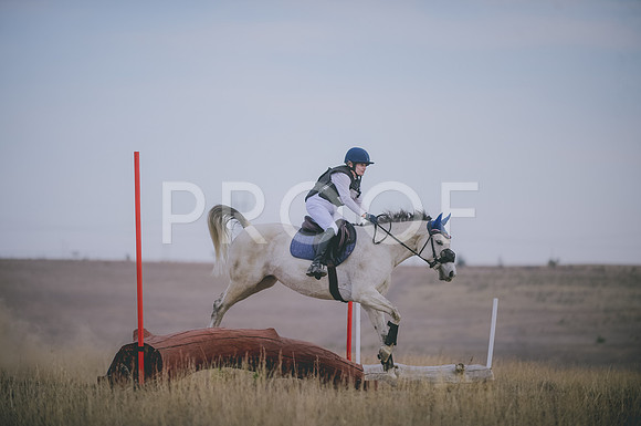 JJS_4431