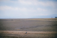 JJS_2673