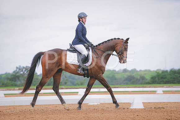 RWP_4212