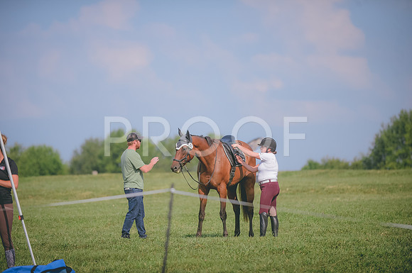 JJS_3867