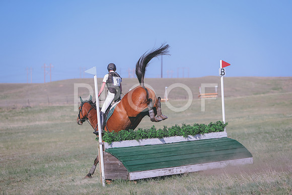 CDH_9527