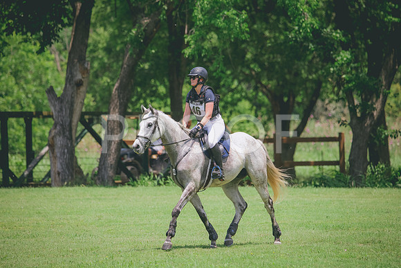 RWP_3141