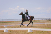 CLSL8197