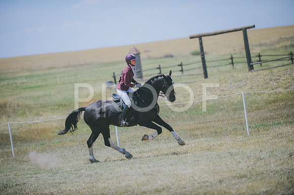 JJS_8622