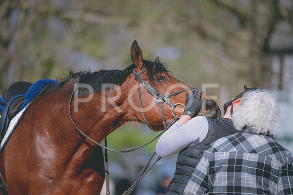 JJS_8938