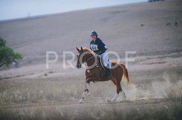 JJS_0264A
