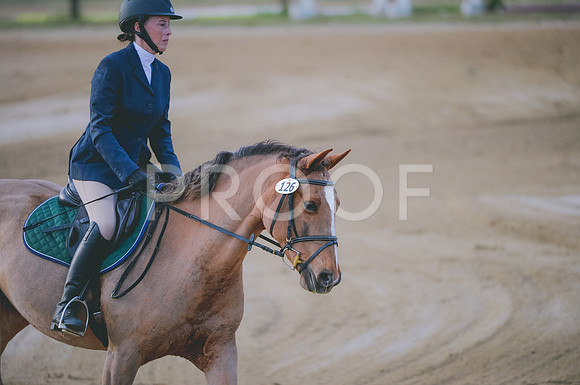 JJS_1342