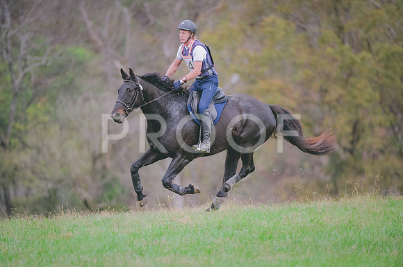 JJS_1193A