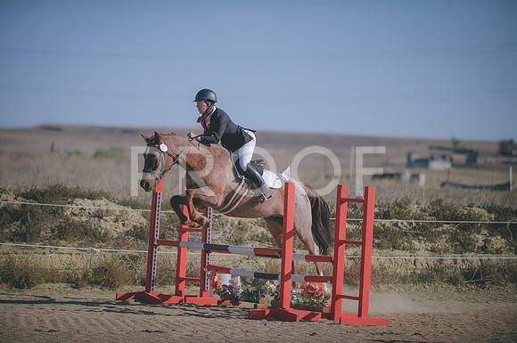 JJS_1465