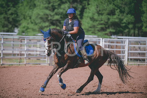 JJS_5462