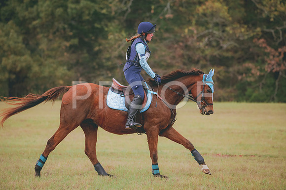 RWP_3630