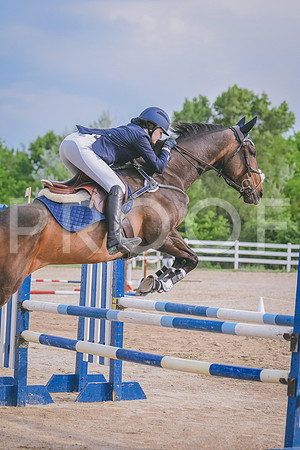 DSC_6492 copy