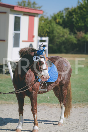 4HLJ8649