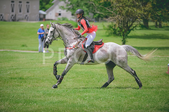 JJS_0184