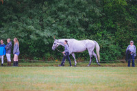 HLJ_9931