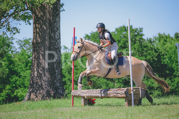 RWP_1184