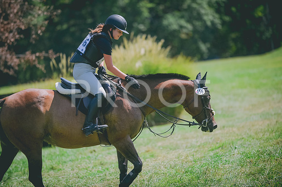 JJS_8379