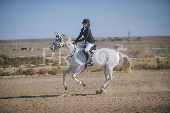 JJS_1035