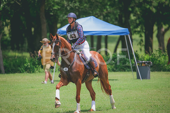 RWP_2926