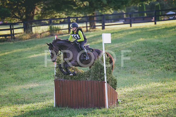 074A3496